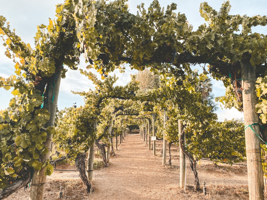 Strategic Approaches to Multi-Jurisdictional Claims